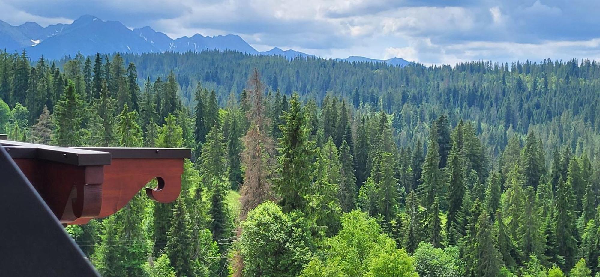 Jedla Miejsce Goscinne Bukowina Tatrzańska Exteriör bild