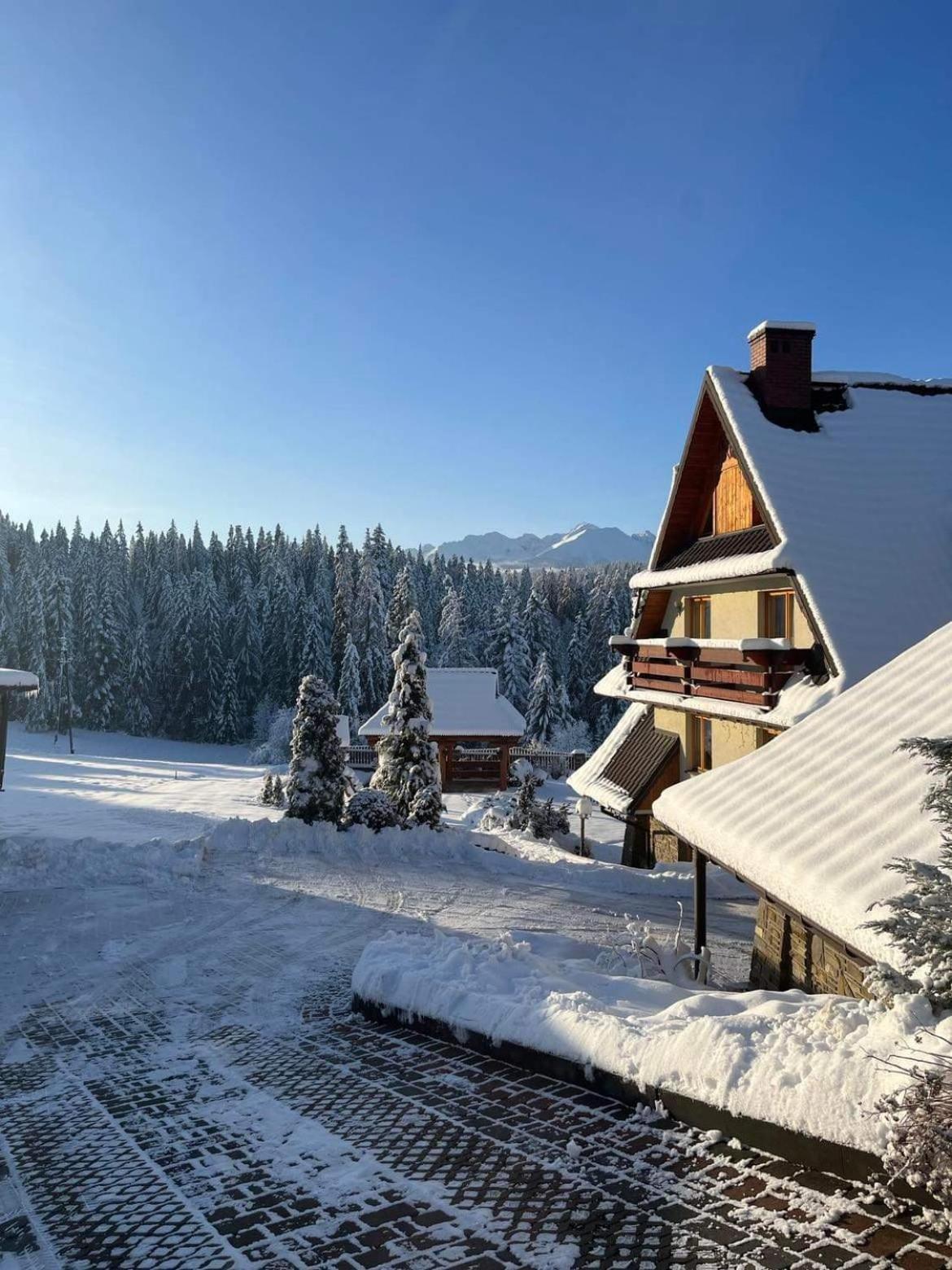 Jedla Miejsce Goscinne Bukowina Tatrzańska Exteriör bild